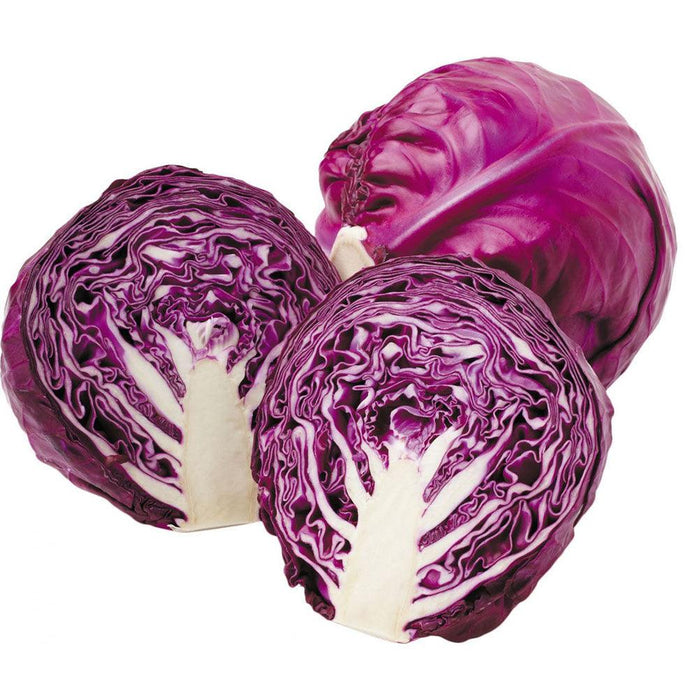 Red Cabbage Veggie Fresh Papanui