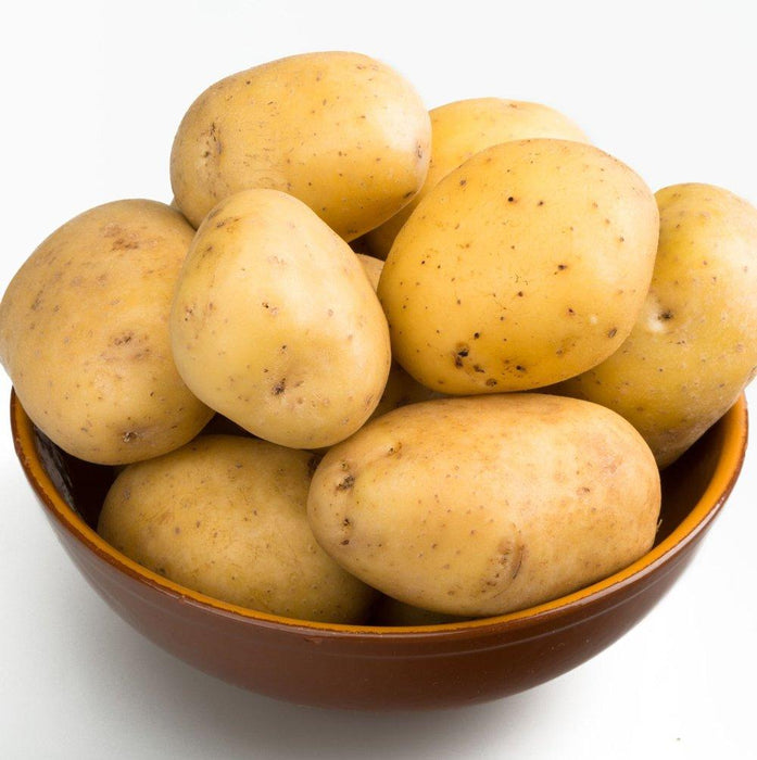 Golden Gourment Potatoes 2.5 K - Veggie Fresh Papanui
