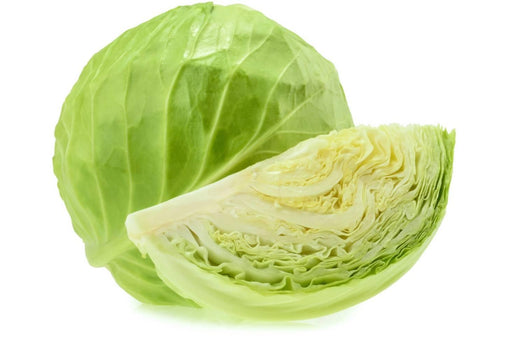 Cabbage Veggie Fresh Papanui