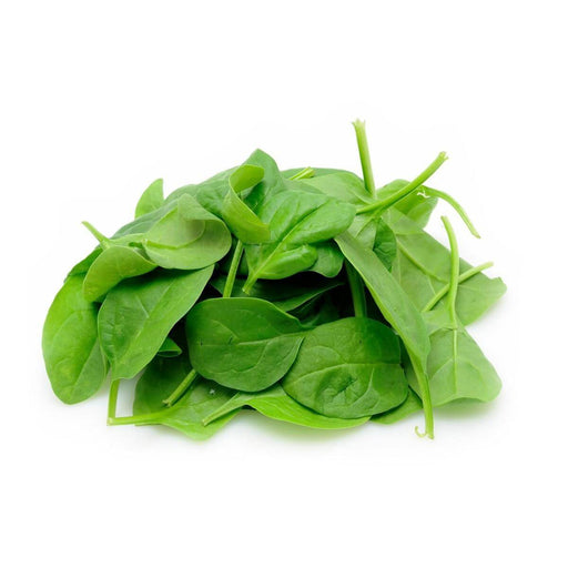 Baby Spinach - Veggie Fresh Papanui