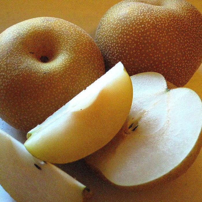 Pear Nashi - Veggie Fresh Papanui