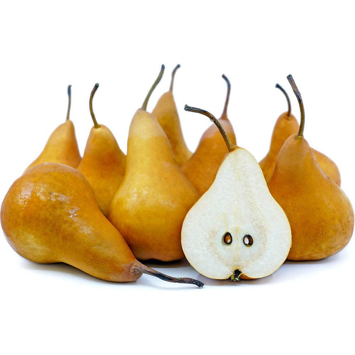 Pear Taylor Gold - Veggie Fresh Papanui