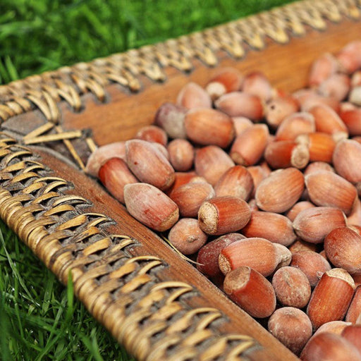 Hazelnuts Raw - Veggie Fresh Papanui