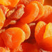 Apricot STD Large Veggie Fresh Papanui