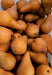 Pear Bosc - Veggie Fresh Papanui