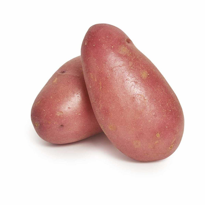 Van Rosa Potato - Veggie Fresh Papanui