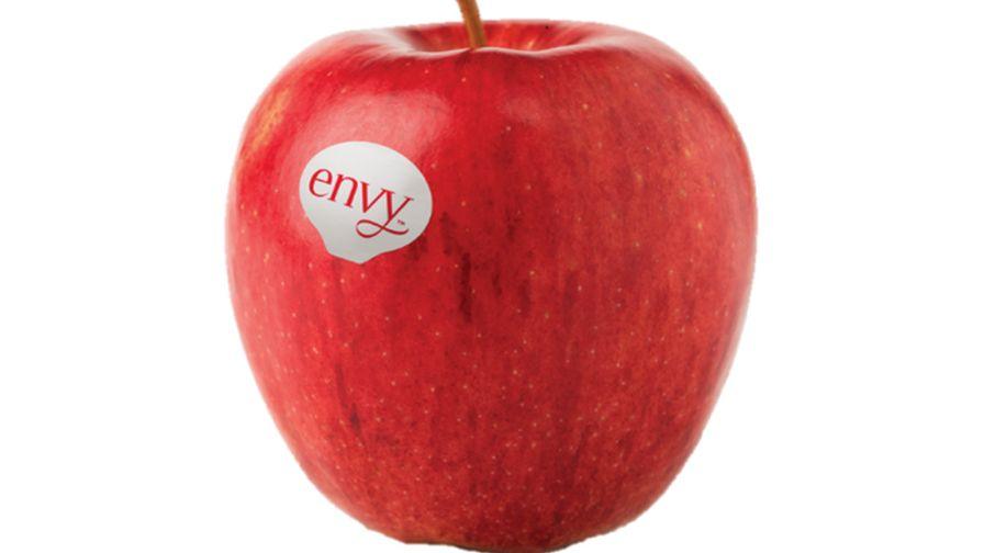 Envy Apples - Veggie Fresh Papanui