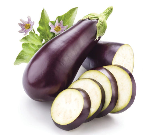 Eggplant Veggie Fresh Papanui