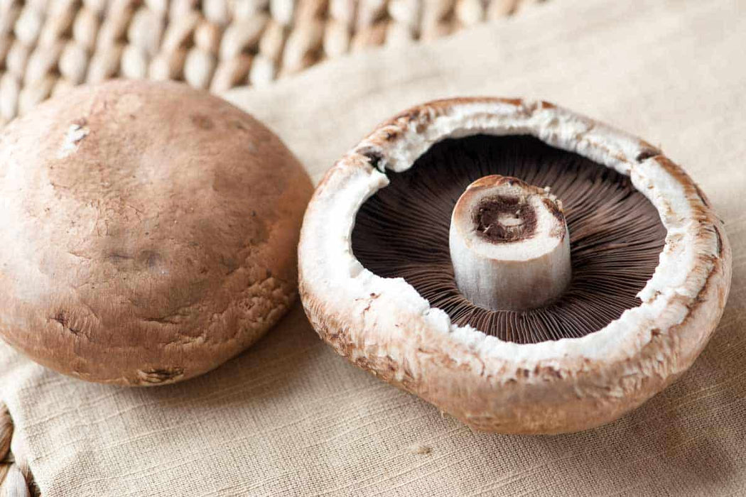 Portabello Mushroom Veggie Fresh Papanui