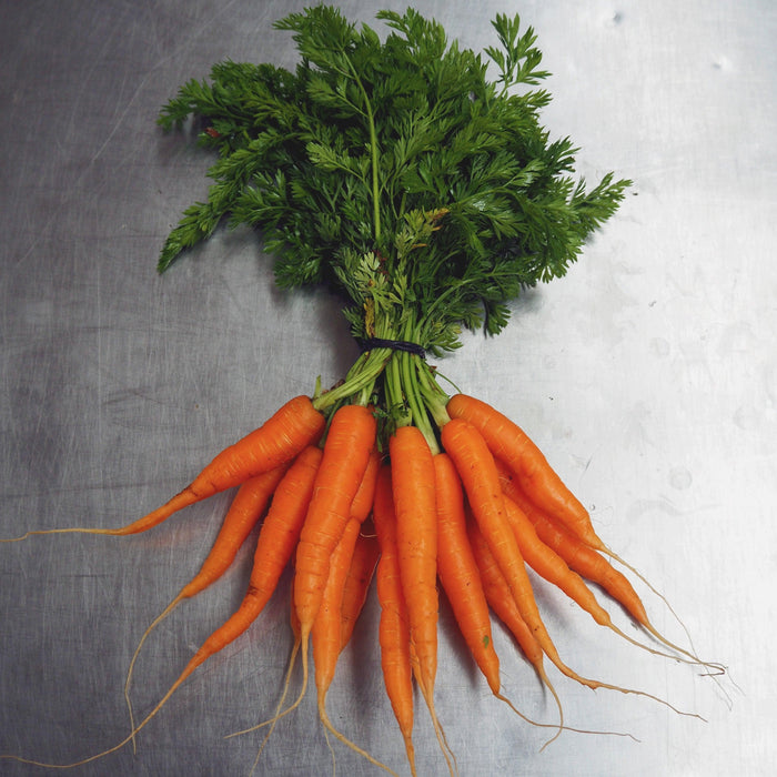 Carrots Bunch Veggie Fresh Papanui