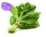Spinach Veggie Fresh Papanui