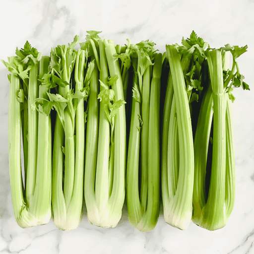 Celery Veggie Fresh Papanui
